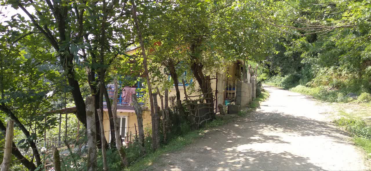 گالری تصاویر